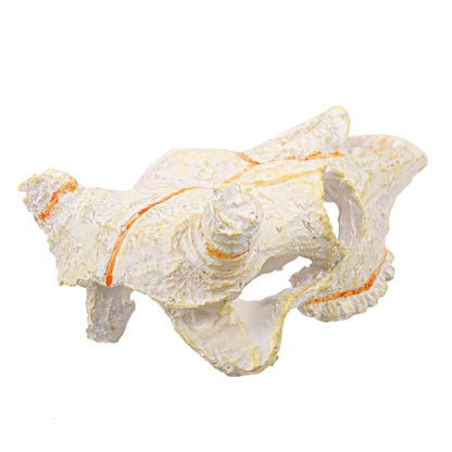 Toddmomy Reptile Skull Hideout for Aquarium Decor Lifelike Resin Decoration for Fish Tanks Terrariums and for Reptiles and Fish