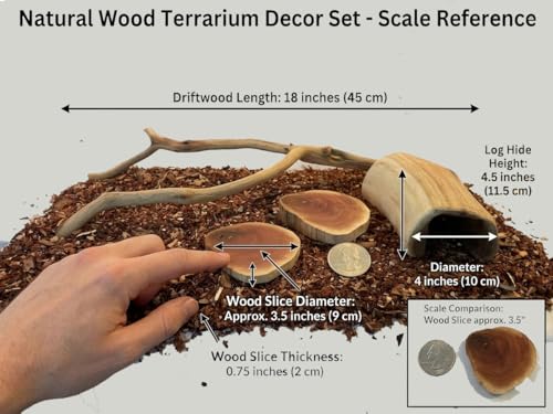 Reptile Habitat Decor Set for Bearded Dragons, Geckos & Lizards – Natural Manzanita Branch, Hollow Log Hide, 2 Slices & 4qt Substrate by MyMANZANITA