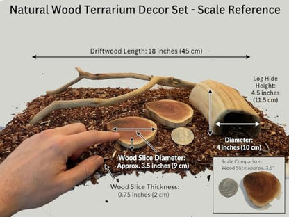 Reptile Habitat Decor Set for Bearded Dragons, Geckos & Lizards – Natural Manzanita Branch, Hollow Log Hide, 2 Slices & 4qt Substrate by MyMANZANITA