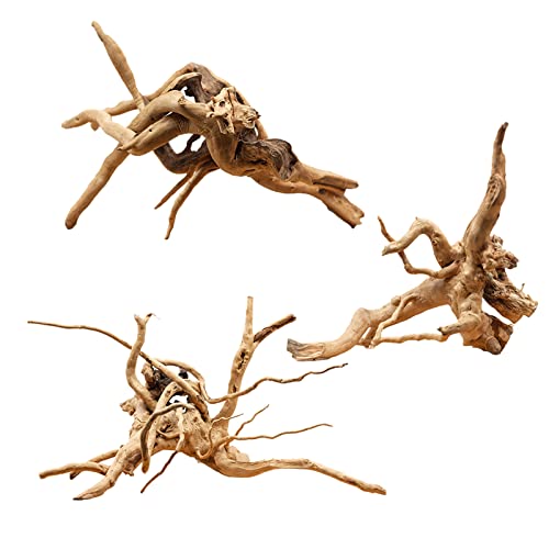 Hamiledyi 6-8in Aquarium Driftwood 3PCS Reptile Spider Wood Assorted Branches Natural Trunk Driftwood Tree Fish Tank Decoration - size: S:Spiderwood (6-8in 3PCS)