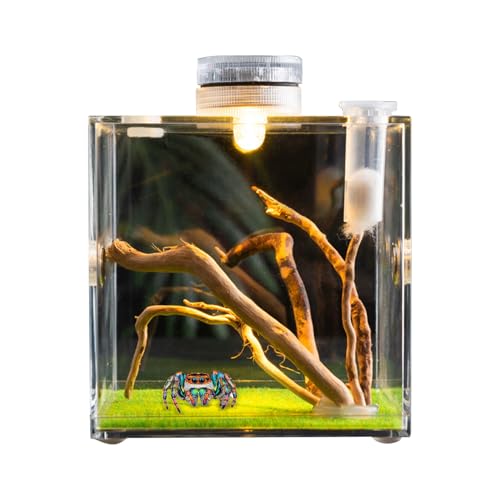 Reptile Growth Terrarium - Acrylic Jumping Spider Clear Container, Clearer View Small Pet Enclosure, Practical Convenient Spacious Habitat, Durable Housing Design Versatile Use | for Snails Lizards Be - color: Aqua Blue