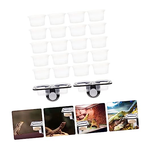 Yardwe 1set Reptile Feeding Platform Double Cups Practical Ledge for Reptile Feeding Easy to Clean Bowl for Lizards Geckos and Other