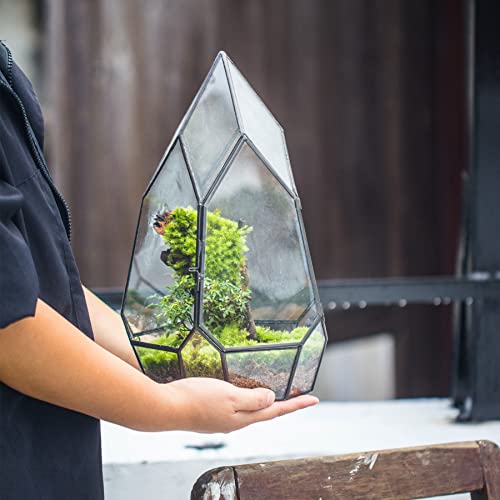 NCYP Black Glass Geometric Terrarium Container with Door - Balcony Planter DIY Display Flower Pot for Succulent Fern - Tabletop Miniature Botanical Fairy Garden (No Plants) 12.2" Height, 7.1" Width