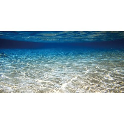 AWERT 30x12 inches Ocean Floor Aquarium Background Underwater Fish Tank Background Undersea Theme Aquarium Background - size: 30x12in/75x30cm