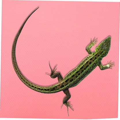 Reptile Carpet EVA Soft Substrate Mat for Bearded Dragon Gecko Snake Tortoise Terrarium Liner Washable Non-Absorbent Tank Flooring Accessories