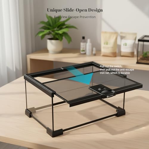 12"x8"x6" Mini Reptile Glass Terrarium Set (7 Pcs) Full View Hermit Crab Tank, Habitat Enclosure with Feeding Slot & Lock for Lizard, Bearded Dragon, Snake, Amphibians & Small Pets