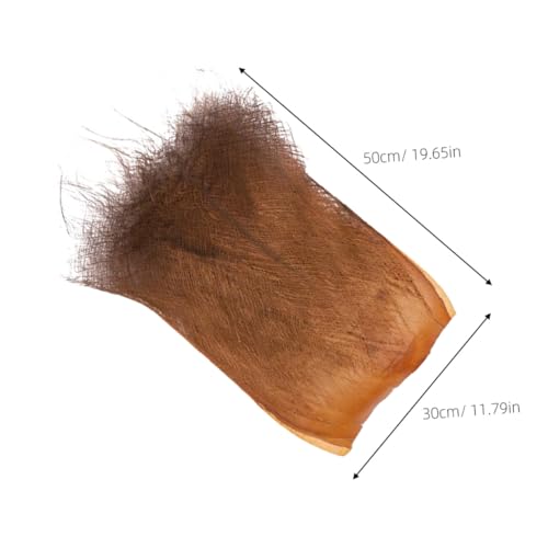 BESPORTBLE Elegant 5 Sheets Palm Bark Plant Garden Tree Barks for Decor Tank Background and Plant Basking Platform