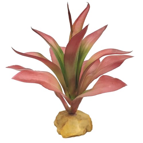 Woyrise Reptile Plants Succulent, Artificial Desert Plant for Terrarium Decor, Bearded Dragon Tank Accessories fit Gecko Lizard Chameleon Ball Python Snake - Guzmania lingulata - color: Guzmania Lingulata