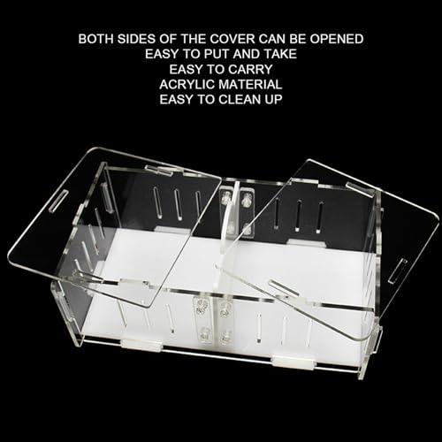 Acrylic Reptile Breeding Box, Feeding and Landscaping Container, 19 x 11 x 7.2cm - Durable Transparent Design, Movable Partition, Easy Viewing and Cleaning