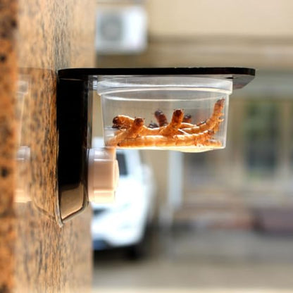 Sucker Reptile Ledge, Acrylic Gecko Feeding Ledge with Cups, Reptile Food Water Feeder Dish for Geckos Iguana Chameleon Pets