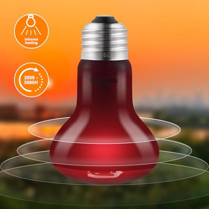 DXOPHIEX 2 Pack 75W Reptile Heat Lamp Bulbs Reptile Heat Bulbs, UVA Basking Bulb and Infrared Light Bulb Combo, Basking Light for Bearded Dragon, Turtles, Snake and Lizard - style: 75W Day & Night Heat Lamp