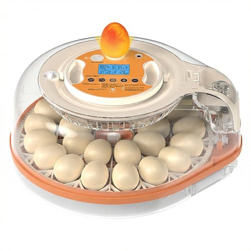 26-59 Egg Incubator with Automatic Egg Turning, Voice-Controlled Machine,Temperature & Humidity Control, Built-in Egg Candler, 360° View Clear Lid for Hatching Chicken Duck Quail Goose Eggs - color: Orange