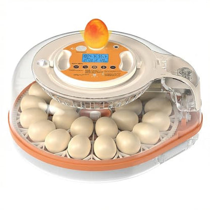 26-59 Egg Incubator with Automatic Egg Turning, Voice-Controlled Machine,Temperature & Humidity Control, Built-in Egg Candler, 360° View Clear Lid for Hatching Chicken Duck Quail Goose Eggs - color: Orange