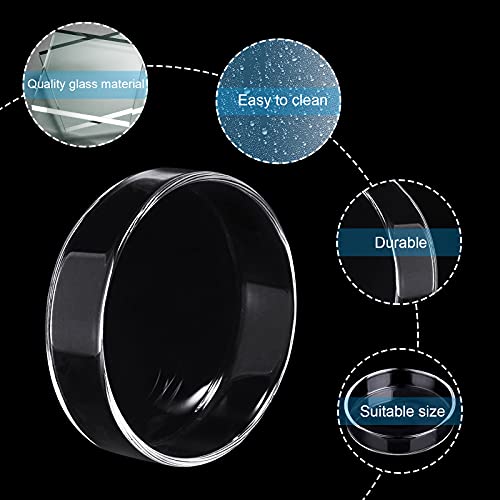 WEAVERBIRD 80mm Aquarium Shrimp Feeder Dish Glass Fish Tank Feeding Bowls Round Clear Dishes Tray - size: 80MM