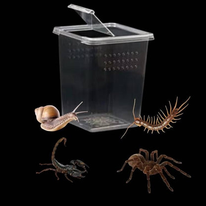 3 Pcs Acrylic Transparent Insect Reptile Spider Terrariums Breeding Box Hatching Container,Portable Small Reptile Animal Habitat Cage,Plastic Transport Container(Big Size)