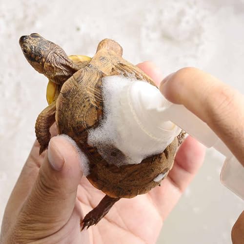 Tortoise Shell Cleaner - Turtle Reptile Safe Cleaning Spray, 120ml Soft Bristle Brush Head, Easy Polishing, Aquarium Care | Compact Travel Friendly Bottle, Home Terrarium Accessory Complete Kit