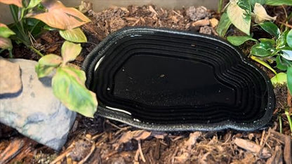 Large Reptile Bathing Pool Reptile Feeding Dish Water Bowl with Steps Aquarium Ornament for Gecko, Snake, Turtle, Bearded Dragon, Lizard Bath