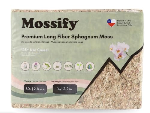 Mossify Premium Sphagnum Moss for Plants 1kg, 2.2 lbs - Long Fiber Moss for Plants Indoor, Orchids, Terrariums, Gardening, Reptiles – Moisture Plant Moss for Propagation, Soil & Habitat Bedding - size: 1kg (2.2 lbs)