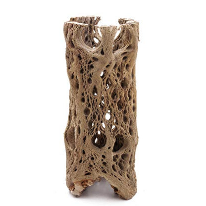 3 to 48 Inch All Natural Teddy Bear Cholla Wood Extra Hollow Large Untreated Organic Aquarium Driftwood Decoration Chew Toy Shrimp Crab Multi-Quantity - size: 1 Piece, 6 inch