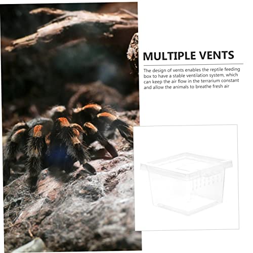 Reptile Breeding Box Transparent Plastic Habitat for Lizards and Spiders with Ventilation System for Optimal Airflow and Observation Space
