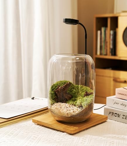 Terrarium Kit with Grow Light – 24-Piece DIY Glass Terrarium Set with Tools, Moss, Driftwood, Soil & Pebbles – Mini Gardening Kit for Air Plants, Succulents & Indoor Desk Decoration Gift - size: Round Set
