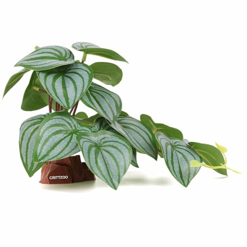 Reptile Fake Plants for Terrarium Decor, Snake Tank Accessories for Leopard Gecko Ball Python Bearded Dragon Crested Gecko Tortoise Frog Lizard Spider - Fake Calathea Orbifolia - color: Fake Calathea Orbifolia