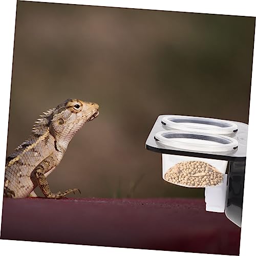 COLLBATH Reptile Feeding Ledge 2-Piece Gecko Feeder Set with Suction Cups Random Color Stable Design for Terrarium Use for Chameleons and Other Small Reptiles
