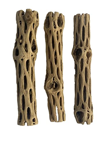 Awesome Aquatic Natural Cholla/Choya Wood 3 Pieces 6” for Shrimp Habitat and Food Treat Hermit Crabs Plecos Aquarium Decoration Lowers pH Hideouts and Chew Toys Reptiles Thorn Free Dried Organic - size: 3 pc 6 inch
