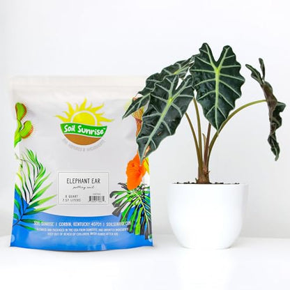 Soil Sunrise Elephant Ear Potting Soil Mix (8 Quarts) Colocasia and Alocasia Potted Plant Blend