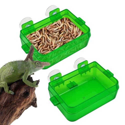 Reptile Feeder Chameleon Bowl 2 Pcs Anti-Escape Food Dish Bowl with Suction Cup for Chameleon Iguana Lizard Reptile Food and Water Feeding (Green, S)