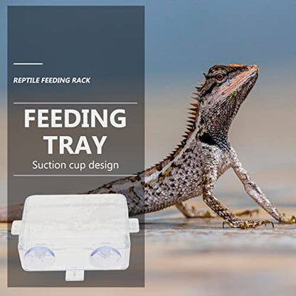 2pcs Transparent Reptile Feeding Bowls Escape Food and Water Dishes for Lizards Geckos and Bearded Dragons -Style Feeders for Reptile Pets