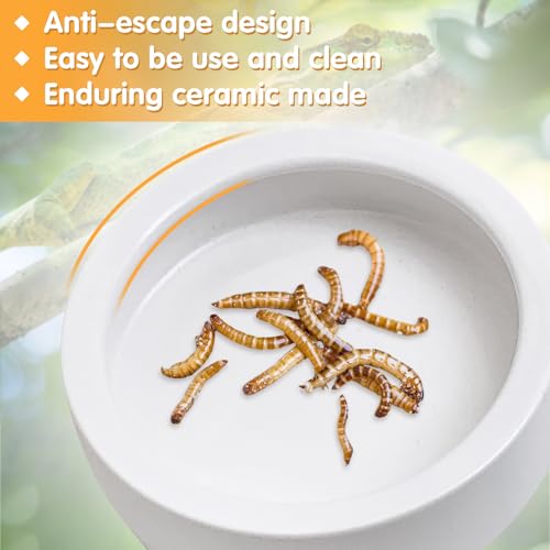 Tfwadmx 6 Pack Reptile Food Bowl, Mini Ceramic Water Feeder Bowl, Reptile Worm Feeding Dish for Lizard Turtle Bearded Dragon Anoles Crested Gecko Hermit Crab Leopard Gecko Chameleon Corn Snake - size: 6 Pcs 2.7 '' x 0.8 ''
