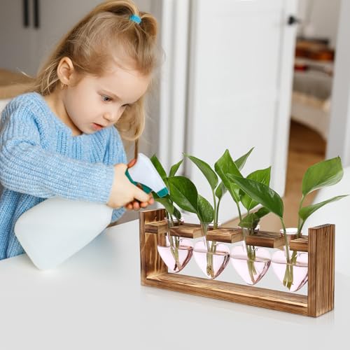 Heart Plant Terrarium Kit Gift for Women Plant Lover Glass Vases - color: Pink