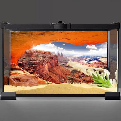 AWERT Stone Reptile Habitat Background Sky Oasis Mountain Cactus Sun and Desert Terrarium Background 48x24 inches Polyester Background - size: 48x24in/120x60cm
