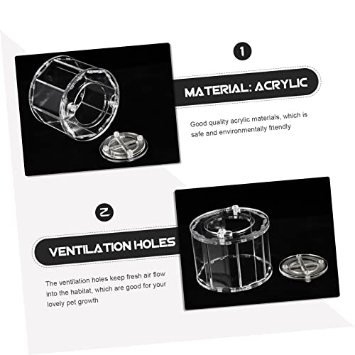 COLLBATH Transparent Reptile Breeding Box with Ventilation Feeding Case for Spiders Geckos and Snakes Durable Acrylic Habitat for Pet Display and Observation
