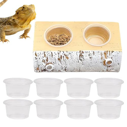 Magnetic Gecko Feeding Ledge,Magnetic Food Dish | Reptile Water Bowls Feeder Ledge,for Pets Crabs Turtle Spider Bearded Dragon Frogs Centipede Small Animal