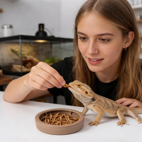 Water Dish for Reptile Tank - 3 Piece Worm Feeder Cups Set, Mealworm Feeding Bowl for Gecko Bearded Dragon Lizards Hermit Crab Snail Terrarium Pet Feeding Accessories
