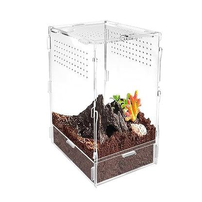 NANEEZOO Micro Habitat Terrariums with Locking Latch, 8x6x12 Inches Acrylic Reptile Tank with Water-tight Base, Arboreal Enclosure for Tarantula Jumping Spiders Small Tree Dwelling Reptiles (Arboreal)