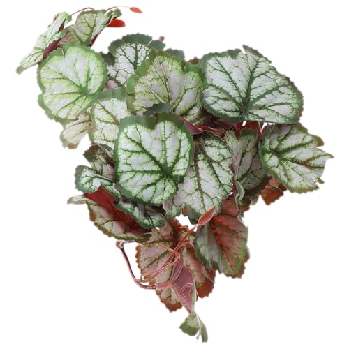 PRETYZOOM Artificial Hanging Reptile Plant with 23 Leaf Faux Foliage, Suction Cup Attachment, Lifelike Artificial Leaves Pendant for Reptile Terrarium Environment Decoration and Amphibian