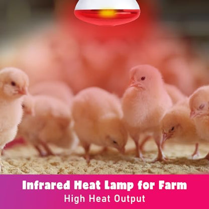LUCKY HERP Infrared Heat Lamp for Chickens, 250 Watt Red Heat Lamp Bulb, 2 Pack Heat Light Bulb, Brooder Heat Lamp for Chicks Coop, Reptiles, Amphibian, Pet, Food Service - style: 250W Heat Lamp 2 PACK