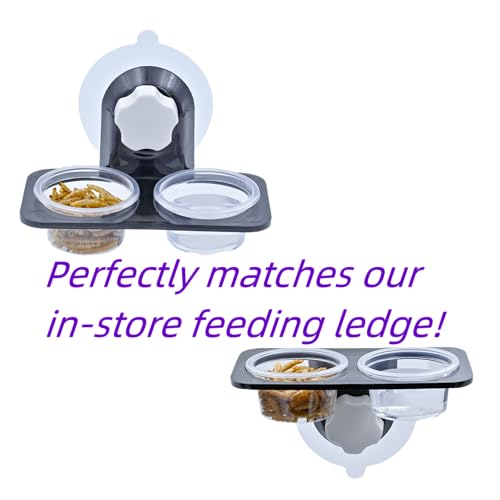 100pcs 1oz Crested Gecko Food and Water Feeding Cups, Reptile Feeder Bowls, for Lizard and Other Small Pet Ledge Accessories Supplies - color: 1oz 100