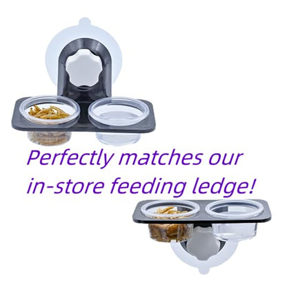100pcs 1oz Crested Gecko Food and Water Feeding Cups, Reptile Feeder Bowls, for Lizard and Other Small Pet Ledge Accessories Supplies - color: 1oz 100