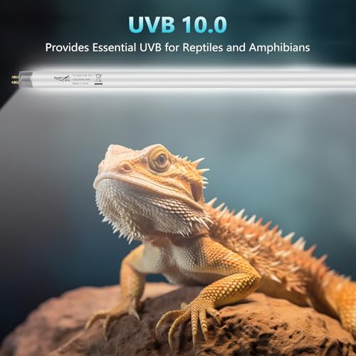 3-Pack UVB Reptile Light 10.0 Bulb 39W T5 Fluorescent Desert Lamp UVA for Bearded Dragon Tortoise Reptile & Amphibian - size: 39W-3PCS