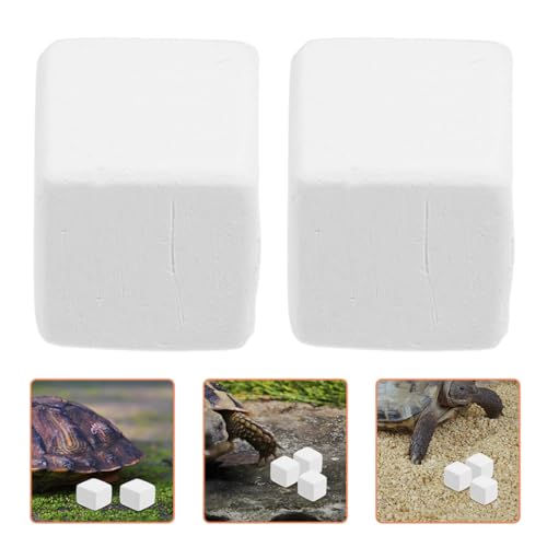 BESPORTBLE 12pcs PET Natural Blocks for Reptiles Supplement for Shell Growth and Health Essential Reptile Accessories for Terrarium Kits