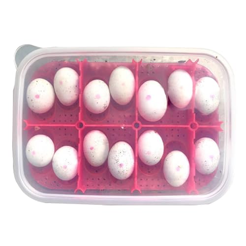 Reptile Breeding Box OMEM Reptile Lizard Incubation Box, Hatchery Box, Suitable for Hatching Snake, Lizards, Lions Mane, Reptiles (Black) | Lizard Incubation Box, Hatchery Box, Suitable for Hatching Snake, Lizards, Lions Mane, Reptiles - color: Random Col