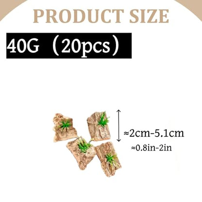20 Pieces Tarantula Enclosure Decor Cork Bark Hide with Natural Grasses Jumping Spider Accessories Tarantula Hide and Reptile Habitat Supplies