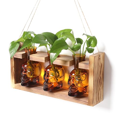 Plant Terrarium Propagation Stations Hydroponics Halloween Skull Planter | Vase skulls decor With Wooden Stand Gife for Father - color: Amber
