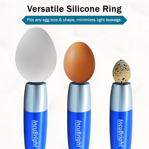 Incu-Bright™ Ultra Bright LED Egg Candler - Portable Light for All Egg Size