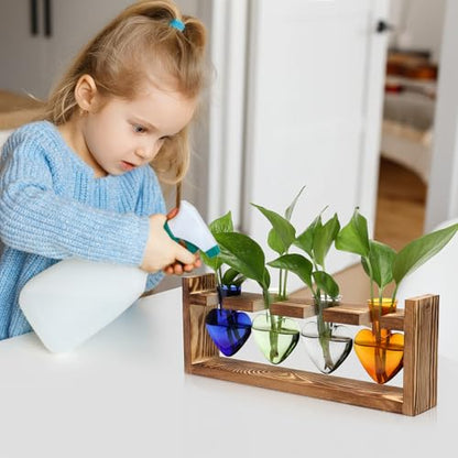 Plant Propagation Stations Heart Plant Terrarium Kit Gift for Women Plant Lover Glass Vases - color: Color01