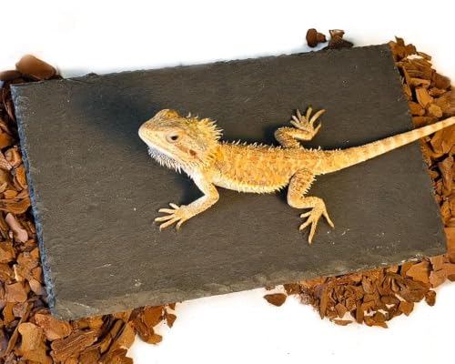 Reptile Basking Platform,7.9"x3.9" Bearded Dragon Basking Slate Rock with Bark Substrate,Tortoise Rock Plate Feeding Dish Resting Climbing Tank Accessories for Lizards Snakes Turtles Gec - size: S | 7.9" x 3.9"Slate Rock with Bark Substrate